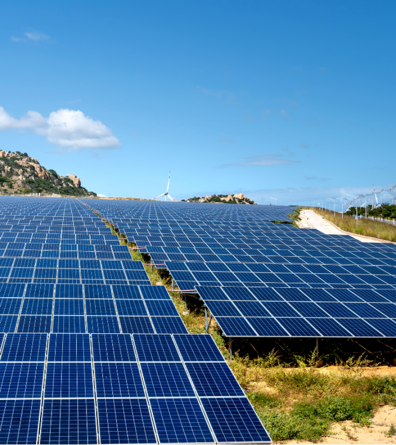 Untitled design (80)